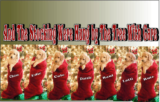 xmas2011stockingstuffer.jpg