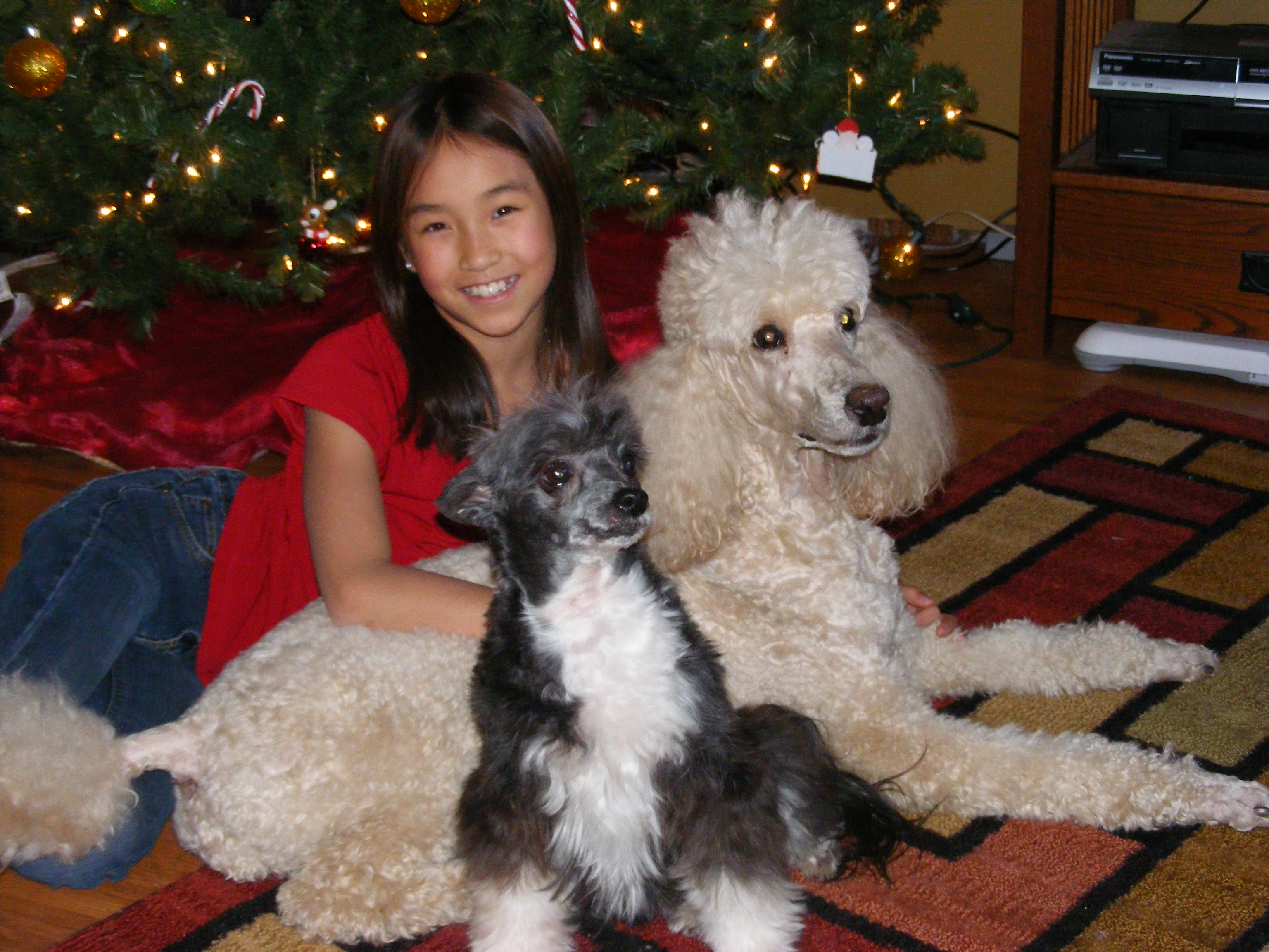 emmadogsnewyears2009036.jpg